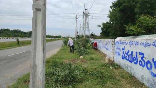 13 road side celing, sector 1