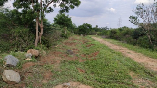 3 east city, sector 5, block ZC