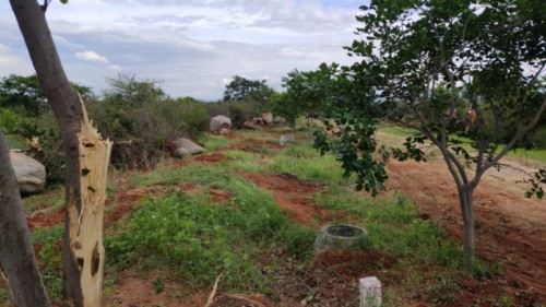 4 east city, sector 5, block C