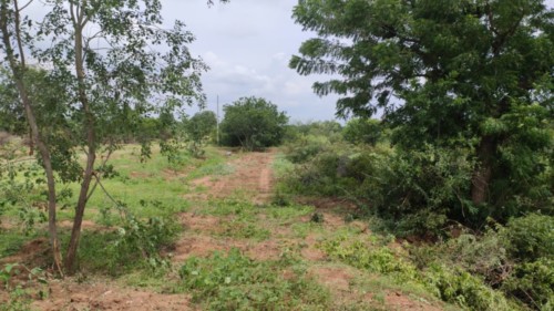 4 east city, sector 5, block ZC